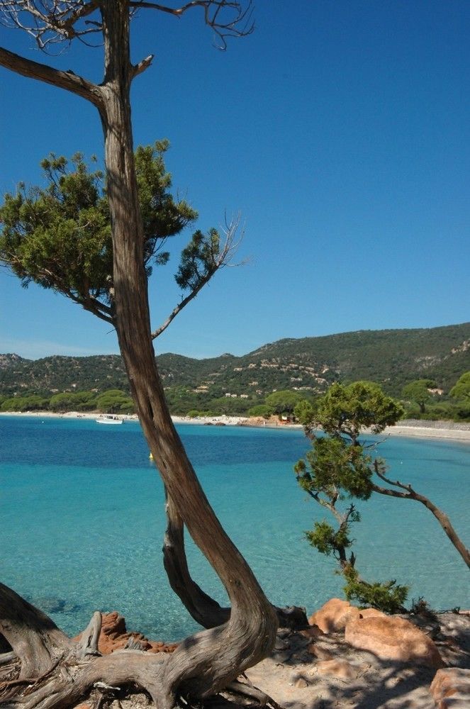 Апарт отель Complesso Residenziale Marina Di Pinarello Пинареллу Экстерьер фото